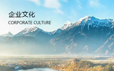 KB88凯时官网官方网站